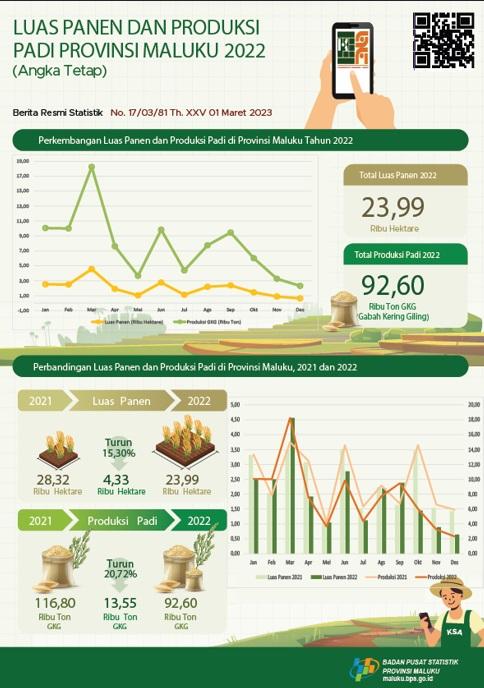 Pada 2022, luas panen padi mencapai sekitar 23,99 ribu hektare dengan produksi sebesar 92,60 ribu ton GKG. Jika dikonversikan menjadi beras, maka produksi beras pada 2022 mencapai 51,86 ribu ton.